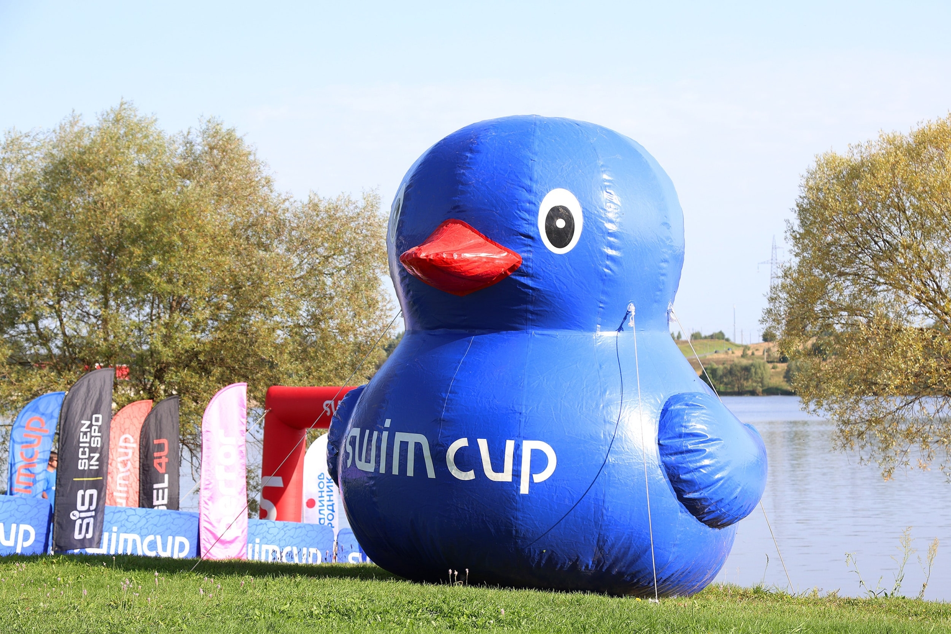 BWT на Swimcup Руза: спорт, семья и чистая вода