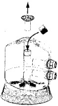 9ddc41ab21.jpg